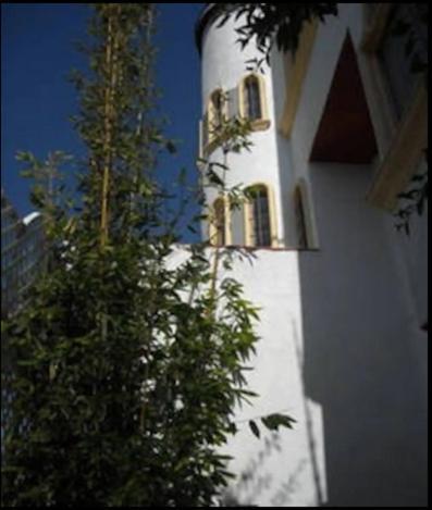 Welcome To Casa Viva Mexico 3-Bedrooms 2-Bathroms 6-Guests Close To Shoping Center & Beach Tijuana Exterior photo